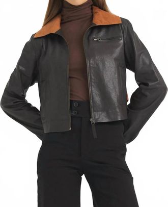 Jakett Moira Wrinkled Leather Jacket In Chocolate