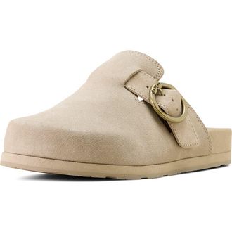 Ariat Country Mule in Clay Suede at Nordstrom, Size 7.5