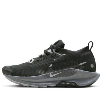 Nike (WMNS) Nike Pegasus Trail 5 Gore-Tex Black Wolf Grey FQ0912-001