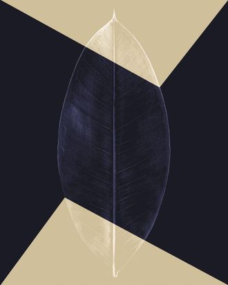 Komar Bild »Lotus Theatre« Natur 1 Stk. tlg. Wandbild zur Dekoration - ohne Rahmen