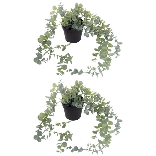 IKEA Ikea FEJKA Knstliche Topfpflanze, hngender Eukalyptus, 58 x 9 cm, 2  Stck ab 21,99  - auf Stylight