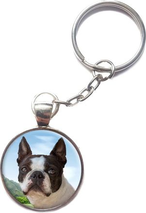 Generic Boston Terrier Keyring Split Ring Dog Key Chain Birthday Gift R178
