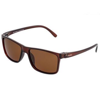 Simplify Ellis Polarized Sunglasses in Brown/brown at Nordstrom
