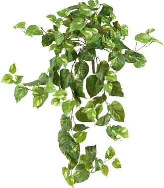 Nearly Natural 40-in Pothos Hanging Bush in Green at Nordstrom