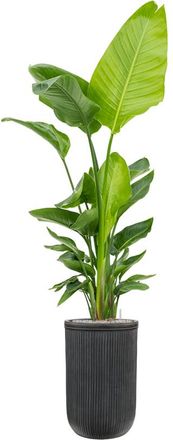 Baq Grosser In-/Outdoor Blumentopf Vertical Rib &oslash; 37 / H 57 cm, Anthrazit