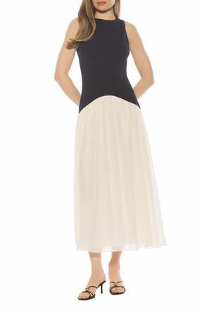 Alexia Admor Dorian Halter Neck Midi Dress in Navy/White at Nordstrom Rack, Size X-Small