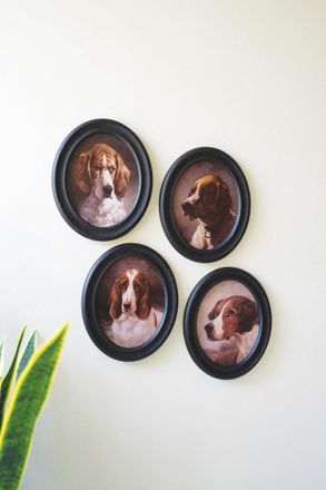 Kalalou Set Of Four Framed Oval Dog Prints