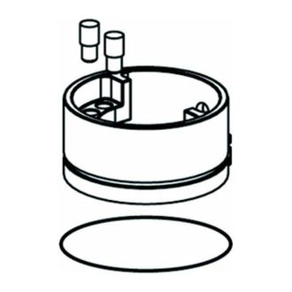 Schell Schell - Anillo De Protecci&oacute;n Xeris Con Engarce