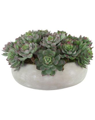 Creative Displays Inc. Succulents Arranged In A Ceramic Planter