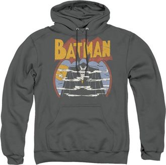 Gildan DC Comics Foggy Adult Pull Over Hoodie / Hooded Sweatshirt