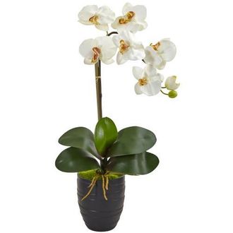 Nearly Natural Phalaenopsis Orchid in Black Vase in Cream at Nordstrom