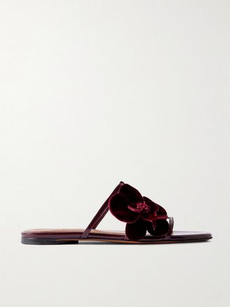 Zimmermann Slide In Pelle Lucida Con Finiture In Velluto E Applicazioni Orchid - Bordeaux