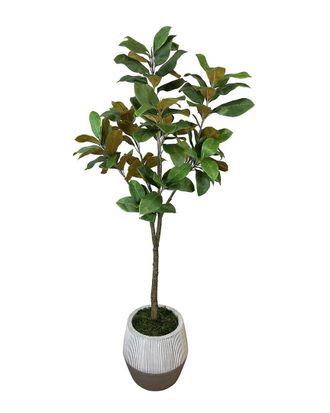 Creative Displays Inc. Uv-Rated 5.5Ft Magnolia Tree In Weather Resistant Pot