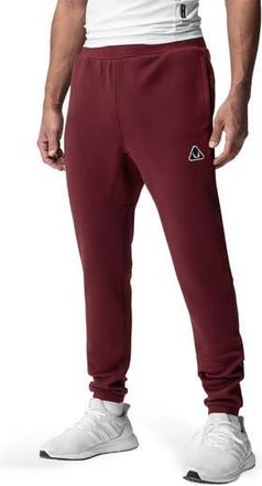 ASRV Dri-Core Training Joggers in Crimson at Nordstrom Rack, Size X-Large