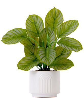 Nearly Natural 12In Artificial Calathea Plant With Decorative Planter