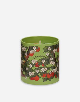 Dolce & Gabbana Scented Candle - Sicilian Orange - Glass Candles Multicolor Onesize