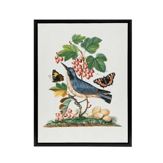 Artery8 Warbler Bird & Red Admiral Butterfly Bolton Framed Canvas Wall Art in White | Size: W24 x H32