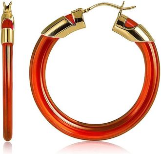 Gold & Honey Womens Classic Flat Lucite Birthstone Hoop Earrings In January - Garnet