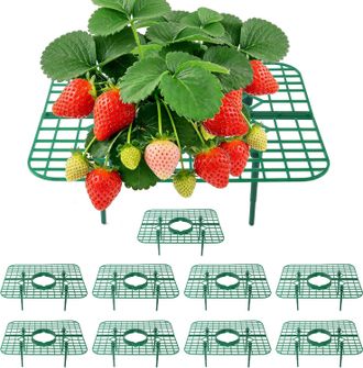 OEM Soporte Para Fresas - Rejilla Cuadrada De Jard&iacute;n 20x20 Cm - Para Cultivo En Suelo Y Macetas - Pl&aacute;stico Resistente - Paquete De 10 Unidades