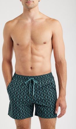Fair Harbor The Bungalow Sun Print Water Repellent Swim Trunks in Seapine Suns at Nordstrom, Size Xx-Large
