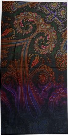 Etro Sciarpa Donna colore Fantasia