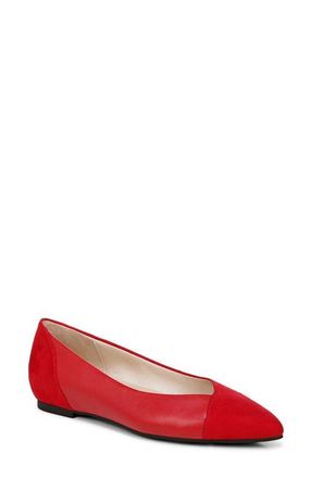 Life Stride Promise Pointed Toe Flat in Red at Nordstrom, Size 8.5