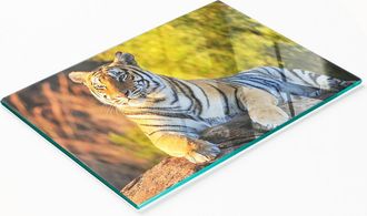 OEM Tabla De Servir De Cristal Para Cocina Con Gr&aacute;fico De Retrato De Tigre, 80x52 Cm