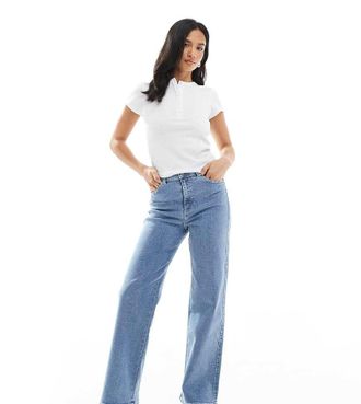 Dr. Denim Petite Moxy straight leg jeans in cape light plain wash-Blue
