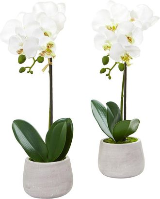 Nearly Natural Set Of 2 Phalaenopsis Orchid Artificial Arrangements