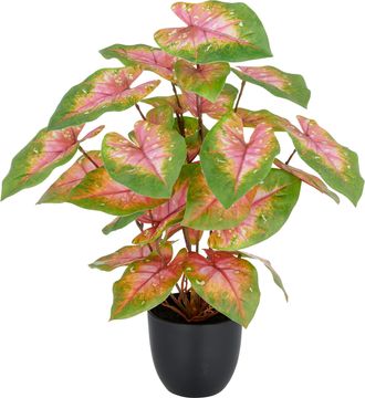 Creativ Green Kunstpflanze