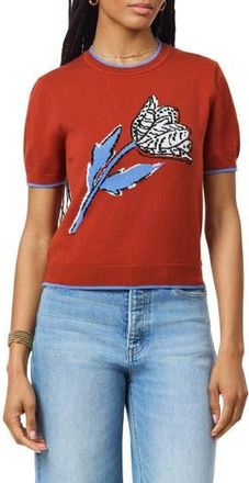 Scotch & Soda Floral Crewneck Short Sleeve Cotton Sweater in Picante at Nordstrom Rack, Size X-Large