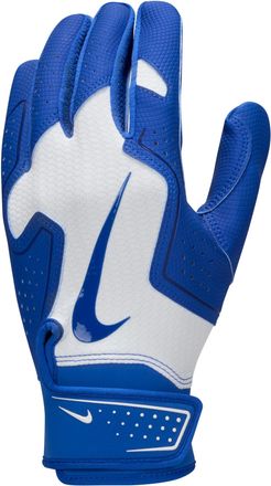Nike Alpha 2.0 Baseball Batting Gloves in White | N1013005-176