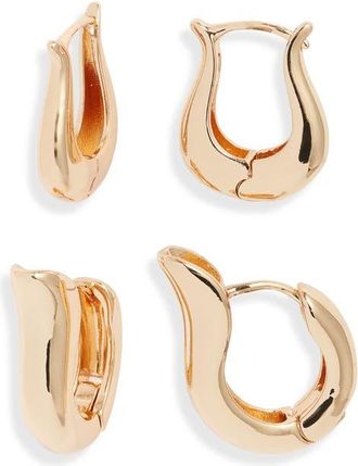 Open Edit Set of 2 Tulip Hoop Earrings in Gold at Nordstrom