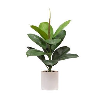 Nearly Natural 20-in Artificial Fiddle Leaf Fig Plant in Green at Nordstrom