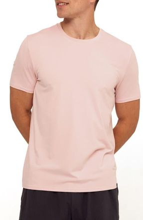 Threads 4 Thought Soloman Luxe Jersey T-Shirt in Heather Pale Lilac at Nordstrom, Size Xx-Large R