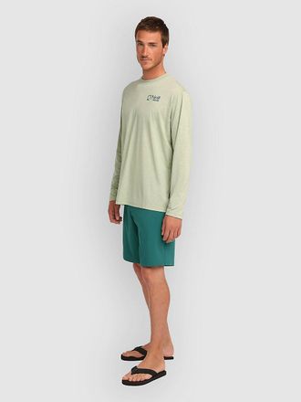 O'Neill ONeill Hybrid 19 Shorts gr&uuml;n