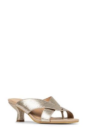 Donald J Pliner Crisscross Slide Sandal in Platino at Nordstrom Rack, Size 5.5