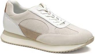 Johnston & Murphy Chase Perforated Sneaker in White Suede/Full Grain at Nordstrom Rack, Size 11.5