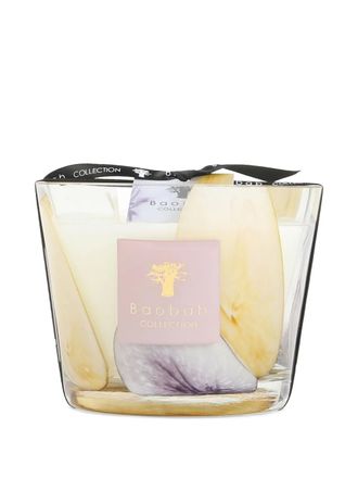 Baobab Riviera Eilenroc scented candle - Neutrals