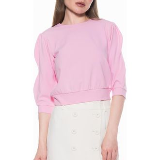 Alexia Admor Bebe Three-Quarter Sleeve Sweatshirt in Pink at Nordstrom Rack, Size X-Large