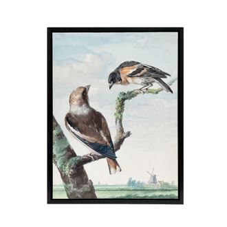 Artery8 Two Hawfinch Birds in Rural Landscape Schouman Framed Canvas Wall Art in Blue | Size: W24 x H32