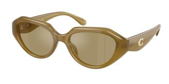 Coach HC8433U CBY77 590230 Womens Sunglasses Green Size 52