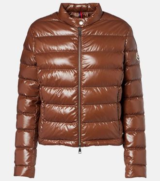 Moncler Piumino Papillon