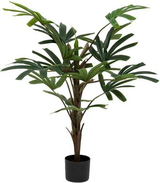 Atmosphera Palmera - Atmosphera Cr&eacute;ateur DInt&eacute;rieur