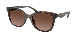 Coach HC8419U CAD25 Polarized 5120T5 Womens Sunglasses Tortoiseshell Size 55