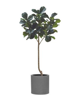 Creative Displays Inc. 7Ft Fiddle Leaf Tree With Fiberstone Planter