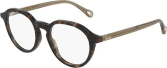 Chloé Ch0012o004 Havana Brown Transpar
