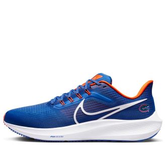Nike Air Zoom Pegasus 39 Florida Gators DR1962-400
