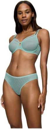 Triumph Signature Sheer Tai EX Brief in Misty Turquoise at Nordstrom, Size Medium