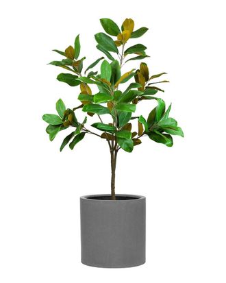 Creative Displays Inc. Uv-Rated 5Ft Magnolia Tree Drop-In With Fiberstone Planter